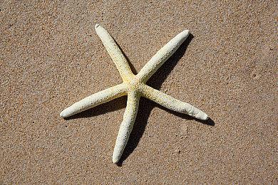 《星际公民》全服猎杀活动开启！争夺免费限定船